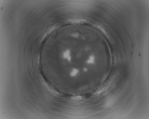 X0000068770357200604281244