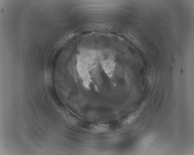 X0000068770359200604281244