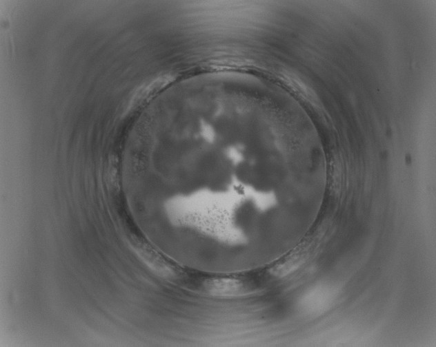 X0000068770361200604281244