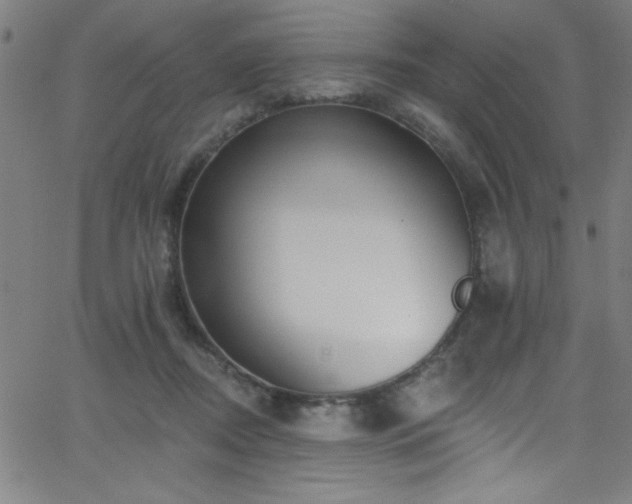 X0000068770362200604281244