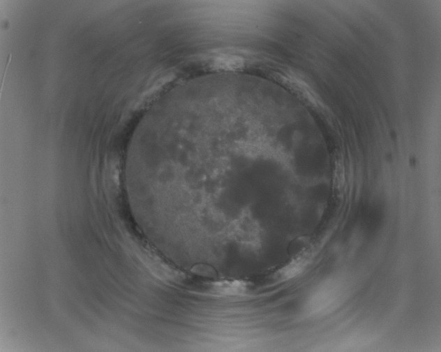 X0000068770363200604281244