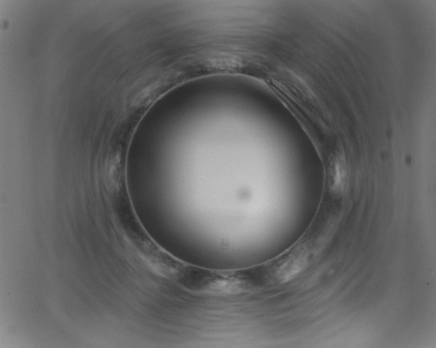 X0000068770364200604281244