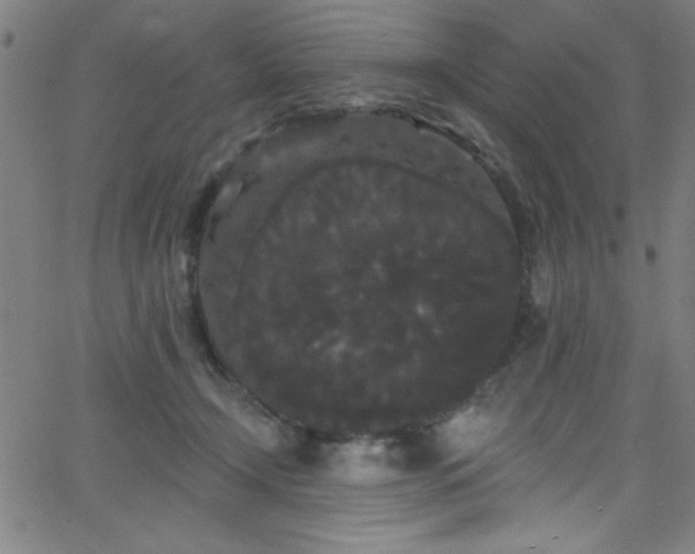 X0000068770366200604281244