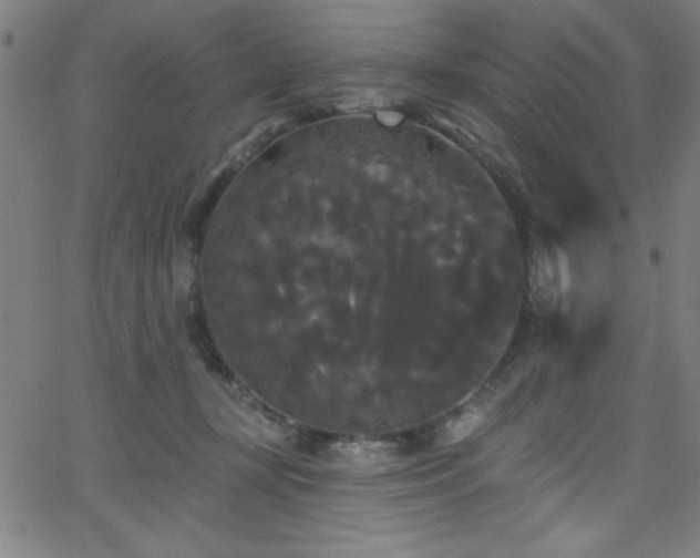 X0000068770367200604281244