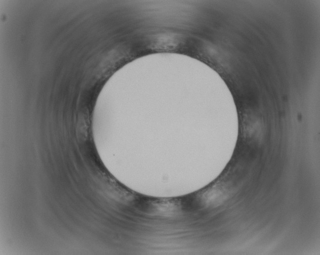 X0000068770370200604281244