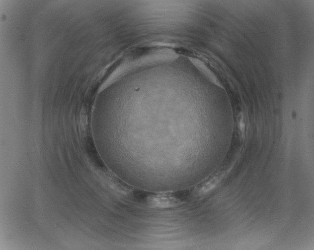 X0000068770372200604281244