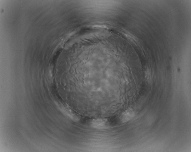 X0000068770373200604281244