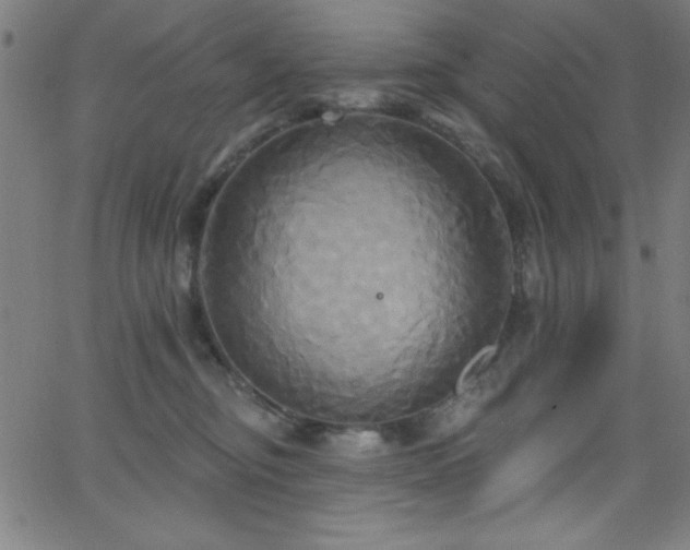 X0000068770374200604281244