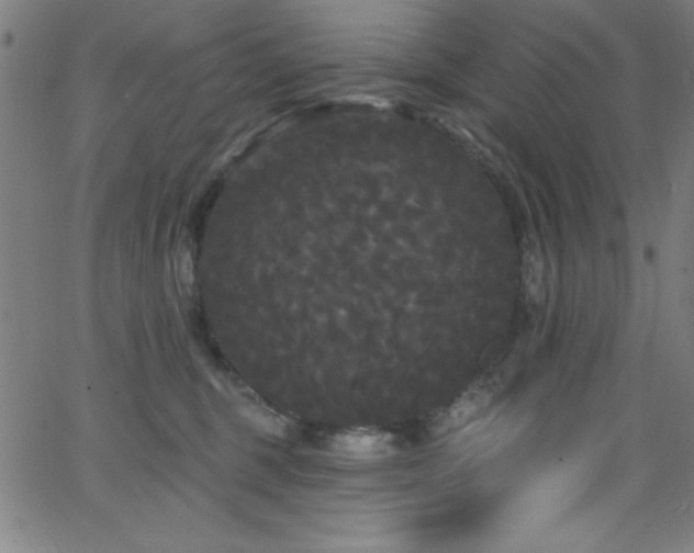 X0000068770375200604281244