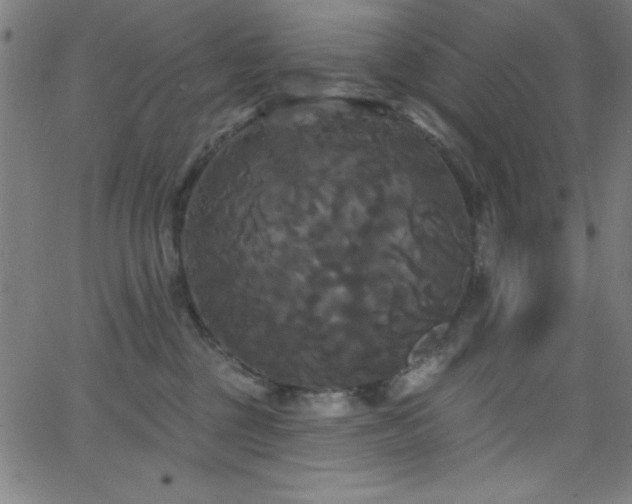 X0000068770377200604281244