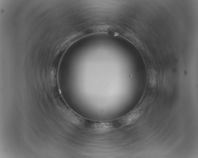 X0000068770378200604281244