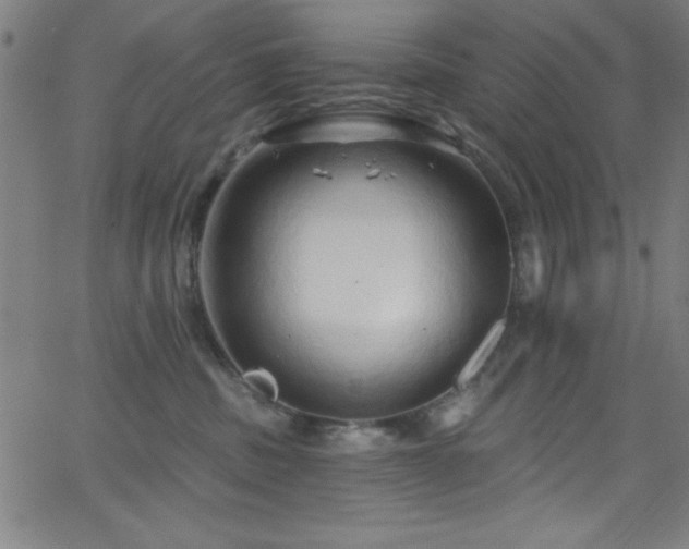 X0000068770379200604281244