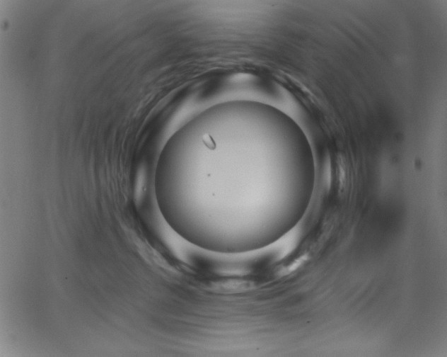 X0000068770380200604281244