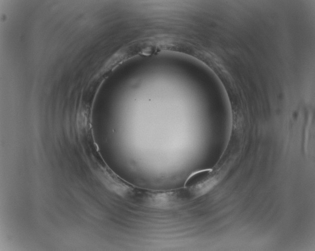 X0000068770382200604281244