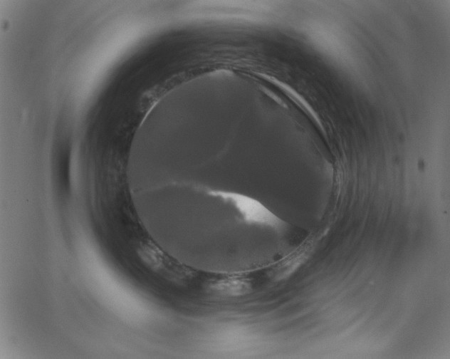 X0000068770383200604281244