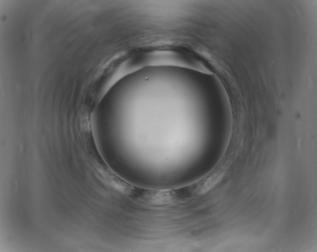 X0000068770384200604281244