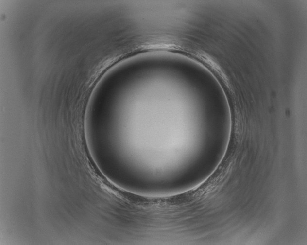 X0000068770385200604281244