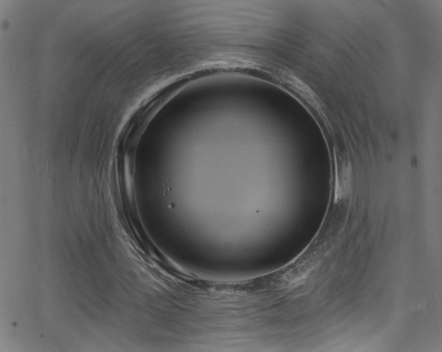 X0000068770387200604281244