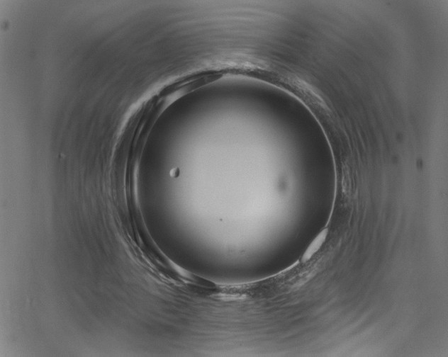 X0000068770388200604281244