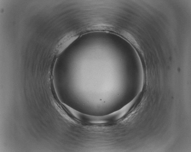 X0000068770389200604281244