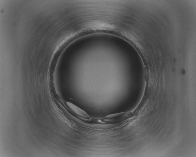 X0000068770391200604281244