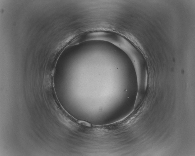 X0000068770393200604281244