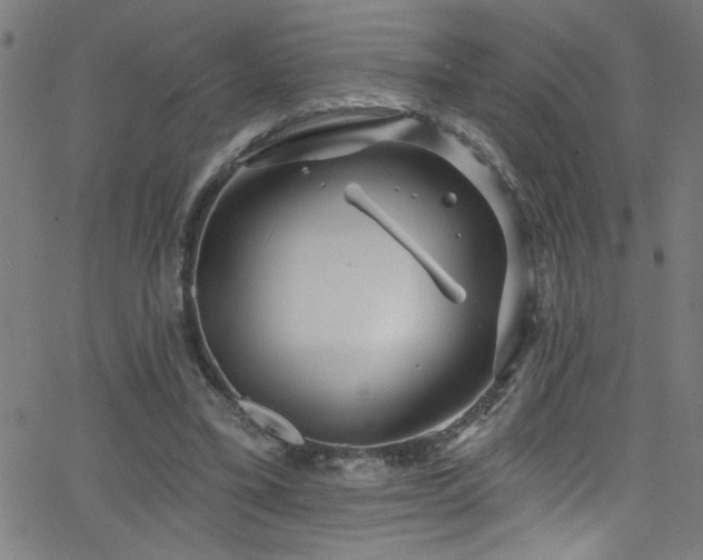 X0000068770395200604281244