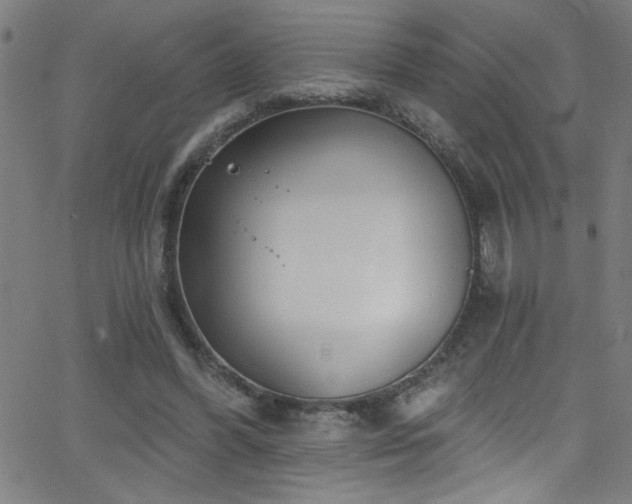 X0000068770396200604281244