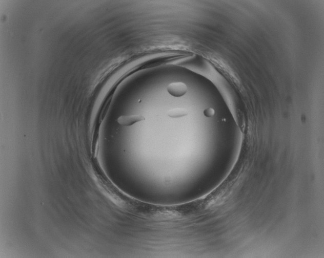 X0000068770397200604281244