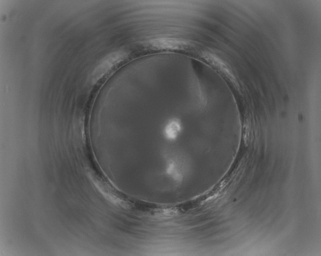 X0000068770398200604281243