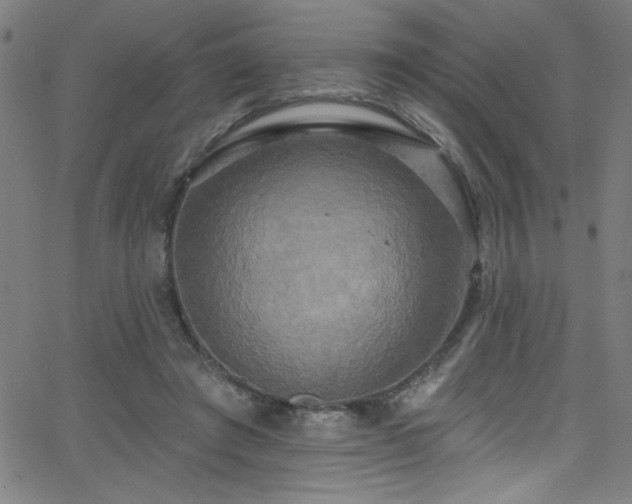 X0000068770401200604281243