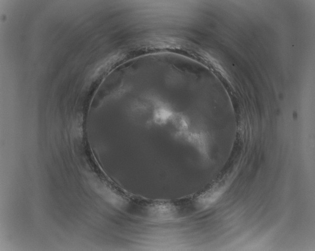 X0000068770402200604281243