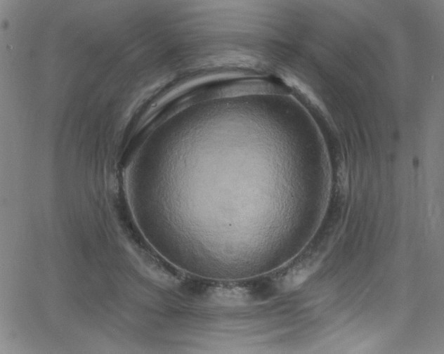 X0000068770403200604281243