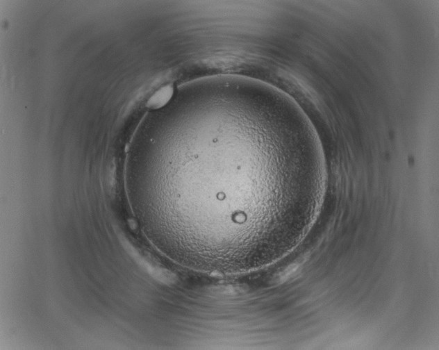 X0000068770404200604281243