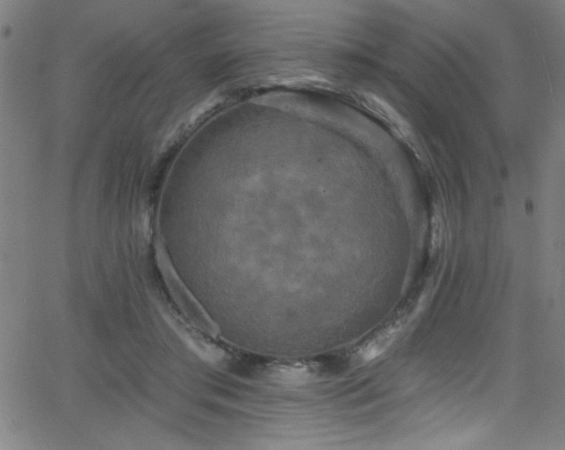 X0000068770405200604281243