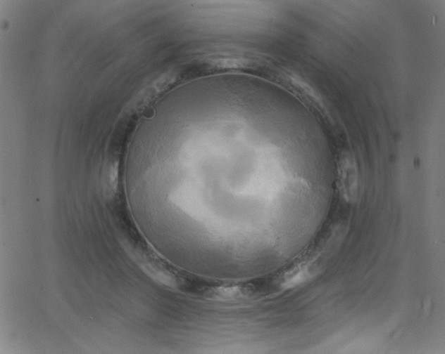 X0000068770406200604281243