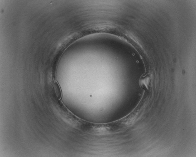 X0000068770407200604281243