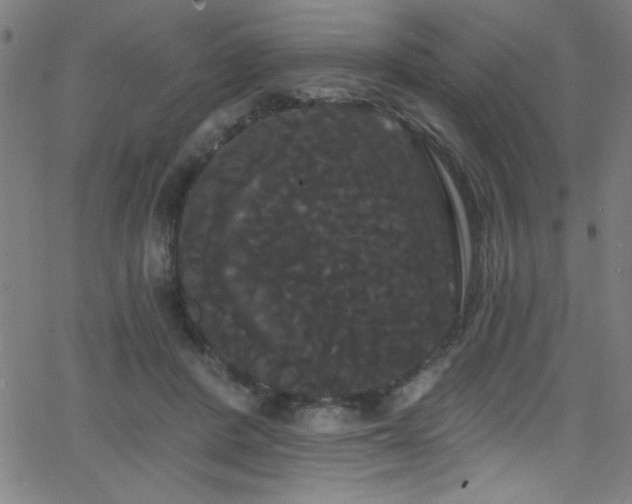 X0000068770408200604281243