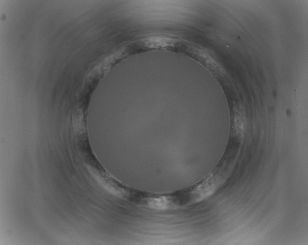 X0000068770411200604281243