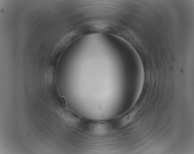 X0000068770412200604281243