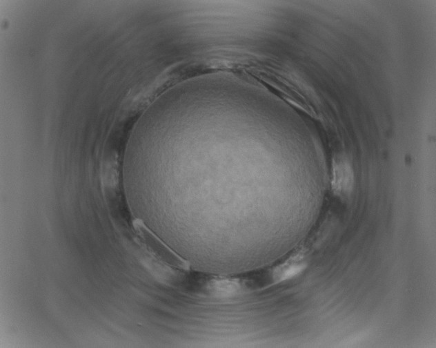 X0000068770413200604281243