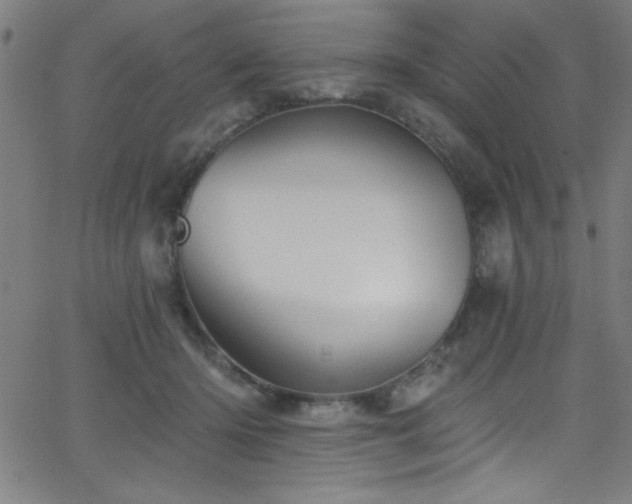 X0000068770414200604281243