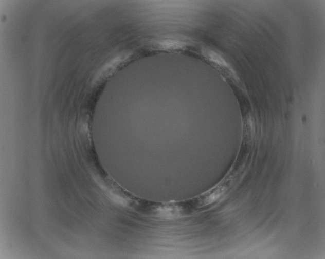 X0000068770415200604281243