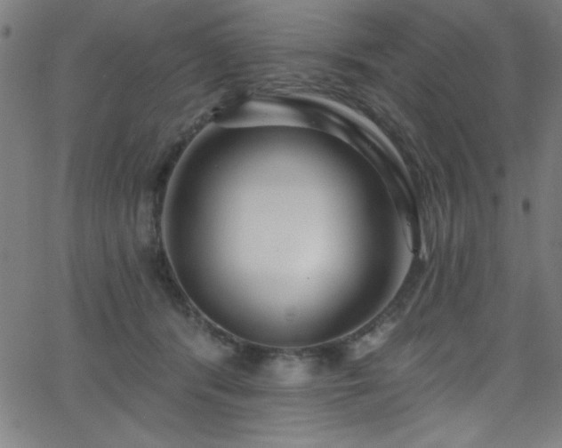 X0000068770416200604281243