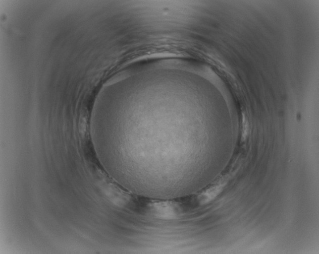 X0000068770417200604281243