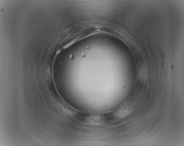 X0000068770418200604281243