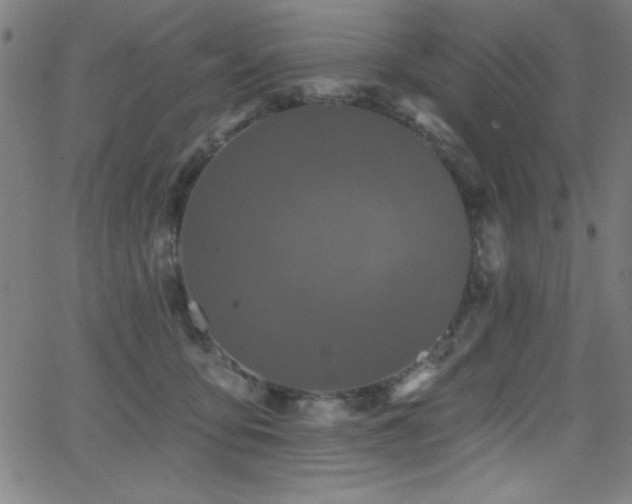 X0000068770419200604281243