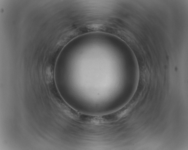 X0000068770420200604281243