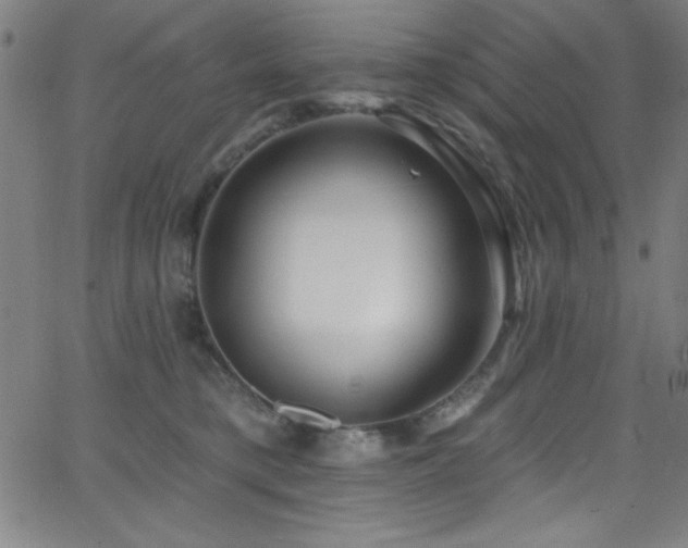 X0000068770421200604281243