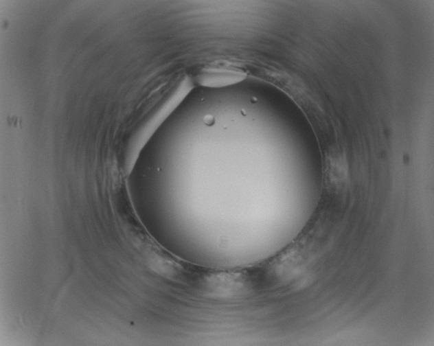 X0000068770422200604281243